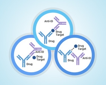 华美生物cusabio 抗体服务 定制服务