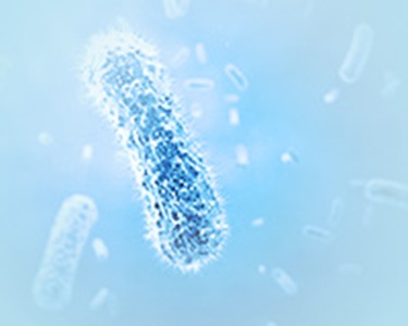 CUSABIO  重组蛋白表达服务 定制服务