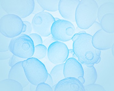 CUSABIO  重组蛋白表达服务 定制服务