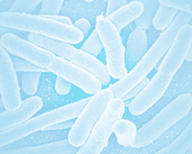 CUSABIO  重组蛋白表达服务 定制服务