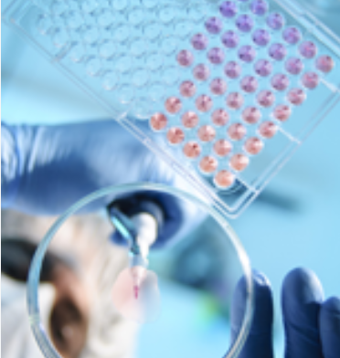 Affinity多肽合成 