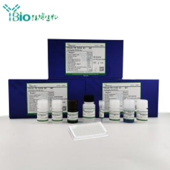 人肝癌衍生生长因子(HDGF)ELISA试剂盒 YB72942Hu