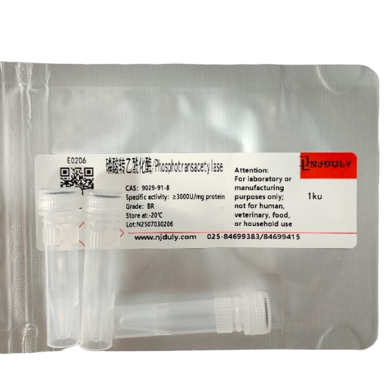 磷酸转乙酰化酶