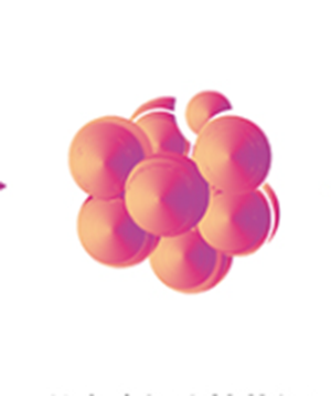 细胞株定制服务