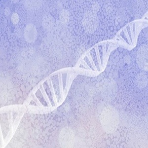 全基因组Bisulfite甲基化测序 华大基因