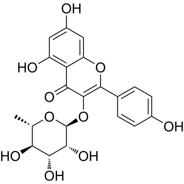 阿福豆苷，Afzelin;Kaempferol-3-O-rhamnoside，482-39-3