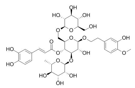 肉苁蓉苷A，Cistanoside A，93236-42-1