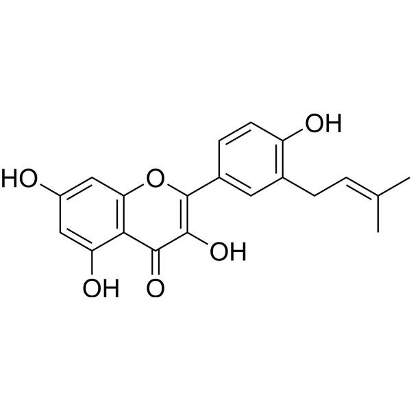 异甘草黄酮醇，Isolicoflavonol，94805-83-1