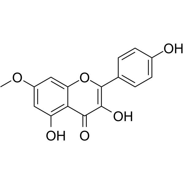 鼠李柠檬素，Rhamnocitrin，569-92-6