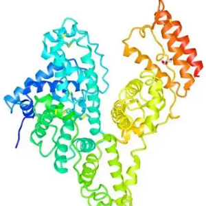 FA-BSA-Cy5.5，叶酸-牛血清白蛋白Cy5.5标记物