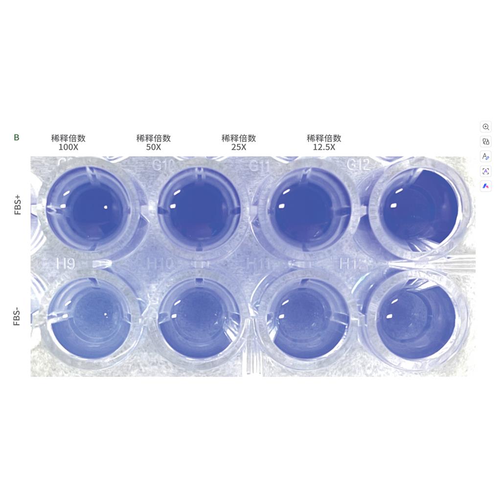 标准型含酚红基质胶