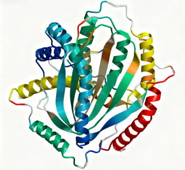 CD3γε二聚体真核蛋白&Mouse CD3E*CD3G二聚体真核蛋白表达