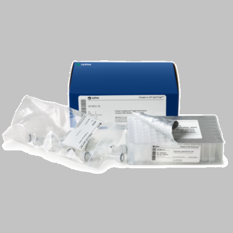Protein G HP SpinTrap