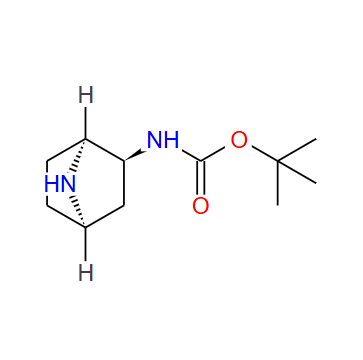 ((1S,2S,4R)-7-氮杂二环[2.2.1]庚-2-基）氨基甲酸叔丁酯