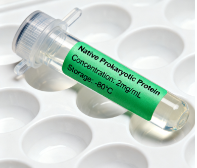 小鼠 CD45 / PTPRC 蛋白