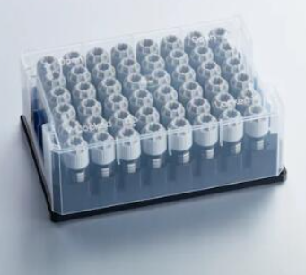 小鼠 CD45 / PTPRC 蛋白