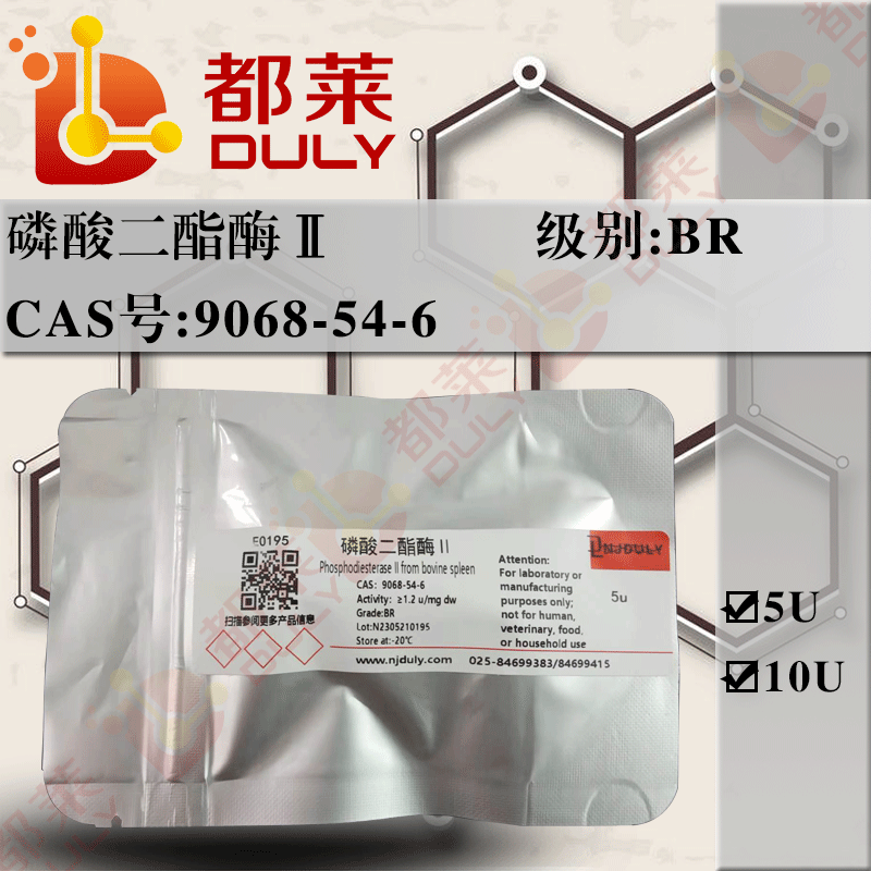 磷酸二酯酶Ⅱ