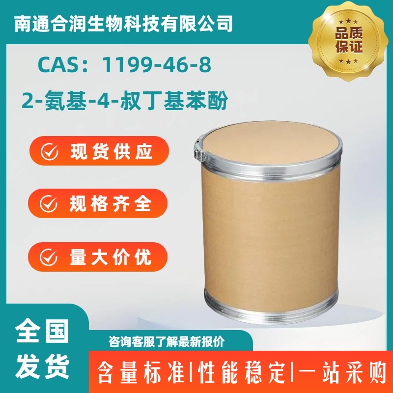 2-氨基-4-叔丁基苯酚，1199-46-8，2-Amino-4-tert-butyl