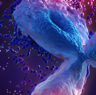 无细胞蛋白表达服务 特色服务 义翘神州