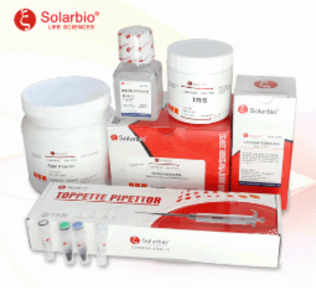 常规HE染色服务