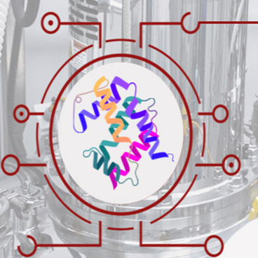 GMP级别蛋白产品定制服务