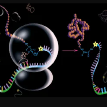 百泰派克蛋白质质谱鉴定服务