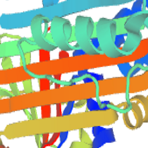 Testosterone-OVA Conjugate，睾酮-鸡卵清白蛋白偶联物