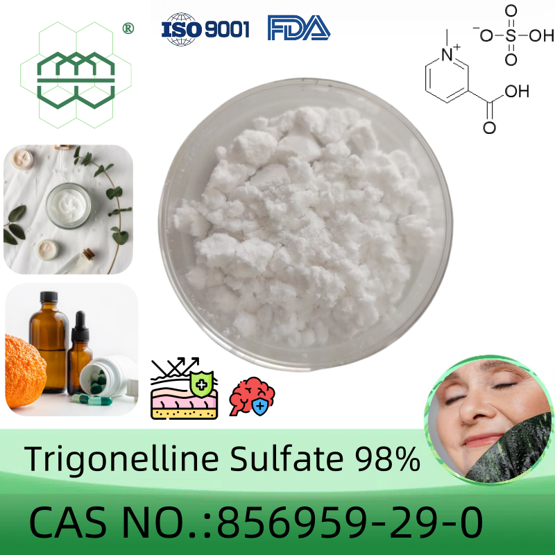 葫芦巴碱硫酸盐   98% 856959-29-0  Trigonellin Sulfate