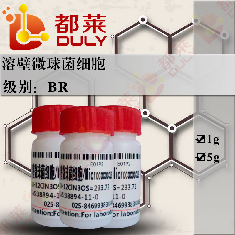 溶壁微球菌细胞