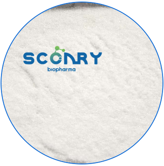 烟酰胺腺嘌呤二核苷酸 NAD