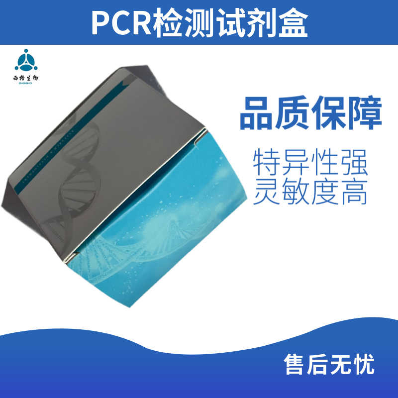 马源性成分检测试剂盒（PCR-荧光探针法）