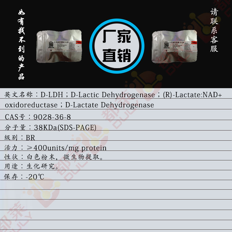 D-乳酸脱氢酶