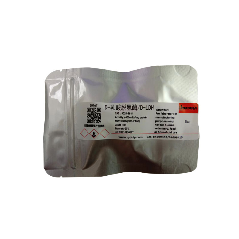 D-乳酸脱氢酶