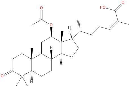 12β-乙酰氧基黑老虎酸，12β-acetoxycoccinic acid，125247-74-7