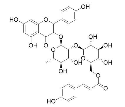 3-O-{2-O-[6-O-(p羟基-反-香豆酰)-葡萄糖基]-鼠李糖基}山奈酚，Kaempferol 3-O-β-D-(6''-p-coumaroyl)glucopyranosyl(1-2)-α-L-rhamnopyranoside，111957-48-3
