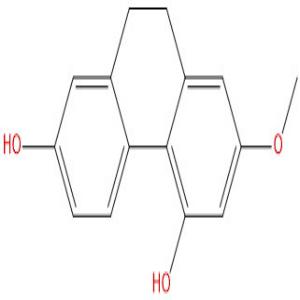 4,7-二羟基-2-甲氧基-9,10-二氢菲，Lusianthridin，87530-30-1