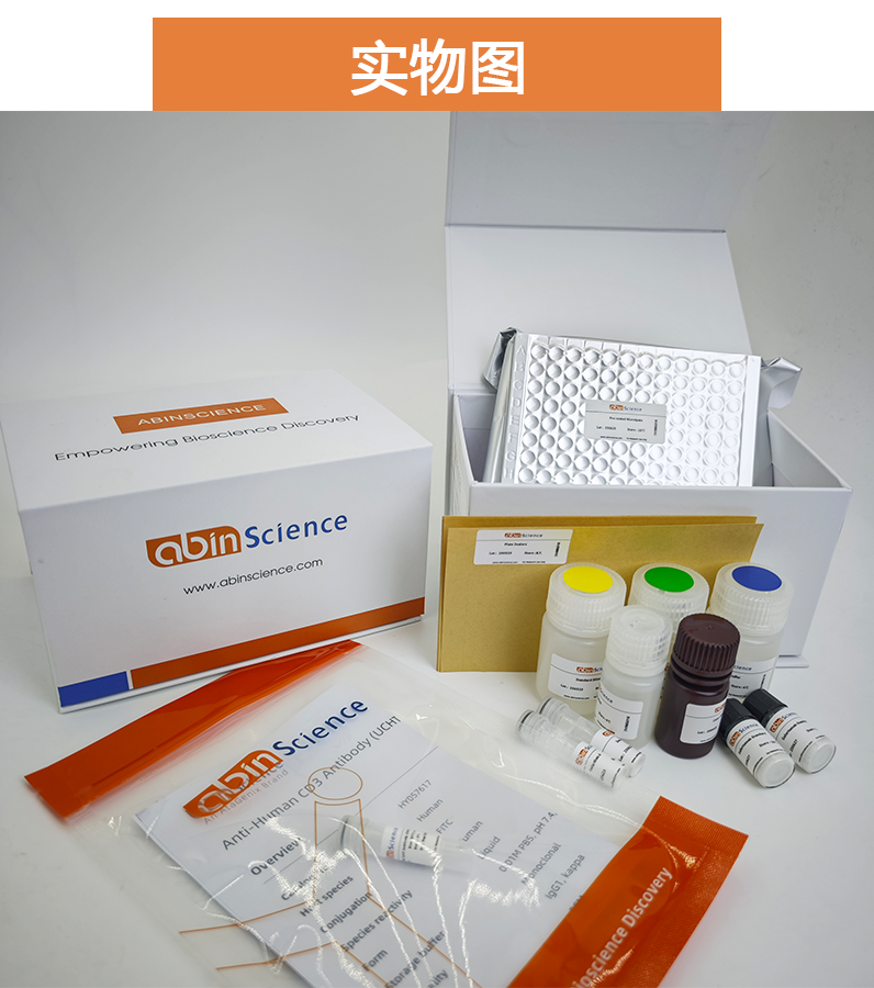 Anti-BVDV Envelope glycoprotein E2/gp55 Antibody (H15)