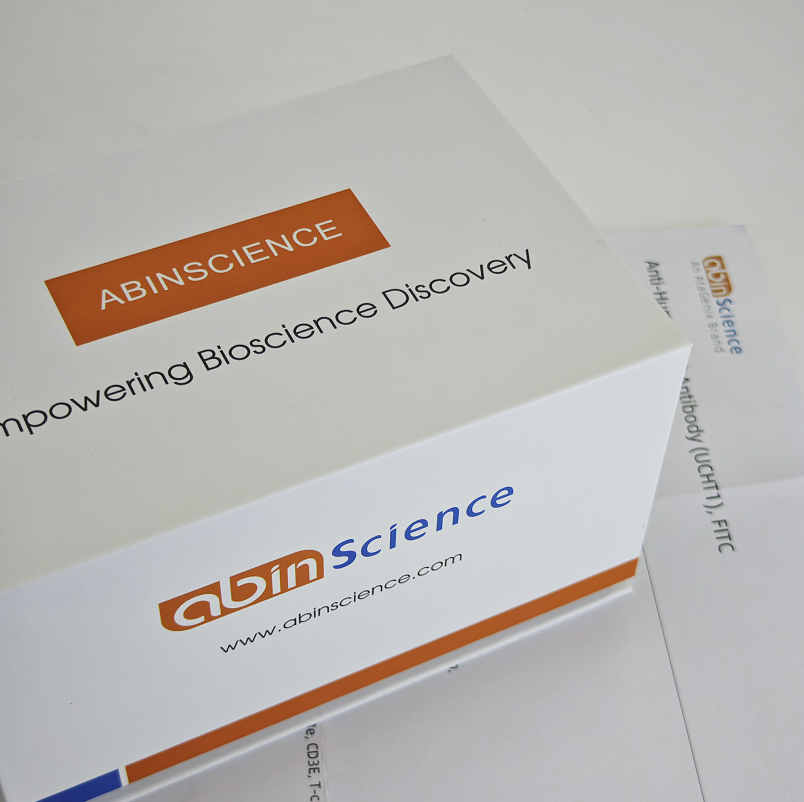 Anti-BVDV Envelope glycoprotein E2/gp55 Antibody (H15)