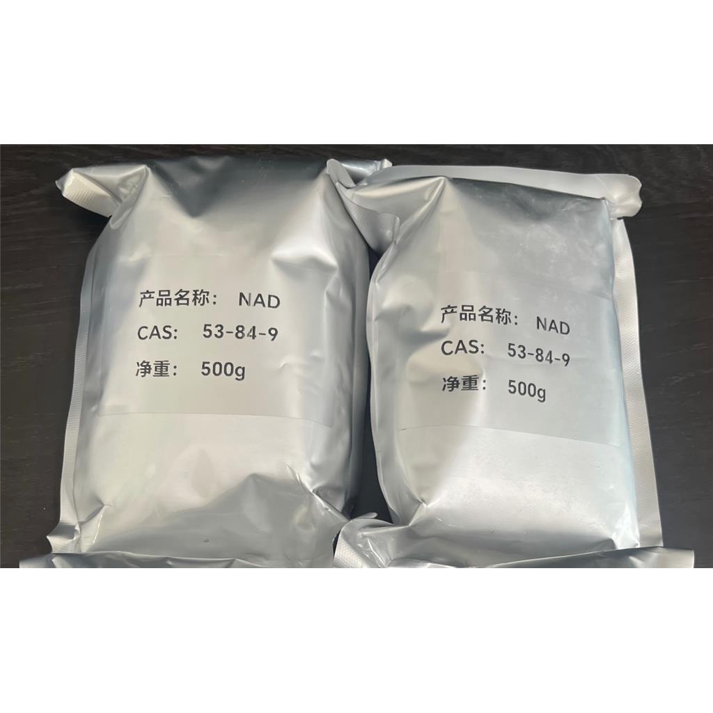 烟酰胺腺嘌呤二核苷酸，606-68-8