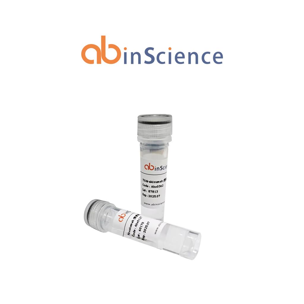 Recombinant CHIKV NPS1 Protein, N-His
