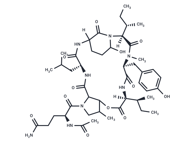 化合物 Nostopeptin B|T25880|TargetMol