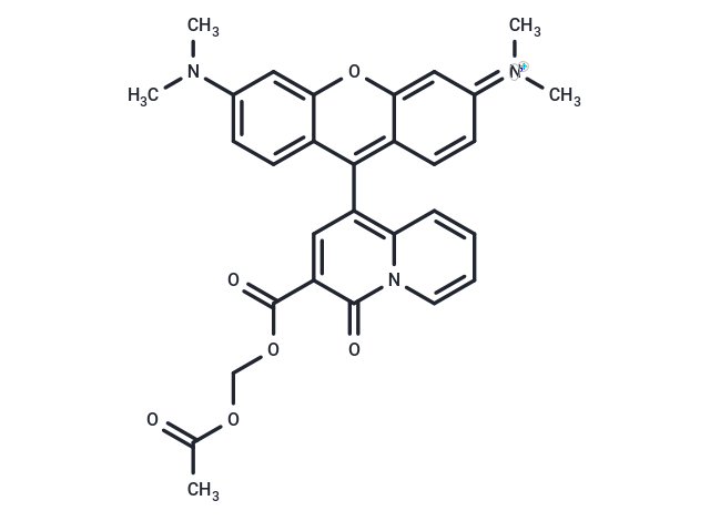化合物 KMG-301AM|T13746|TargetMol