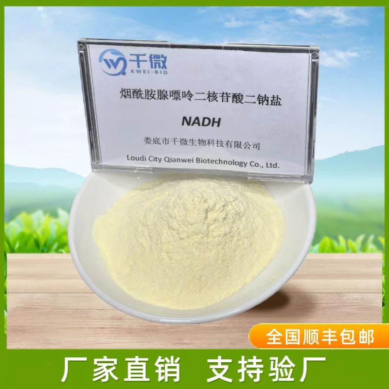 还原型烟酰胺腺嘌呤二核苷酸（NADH）