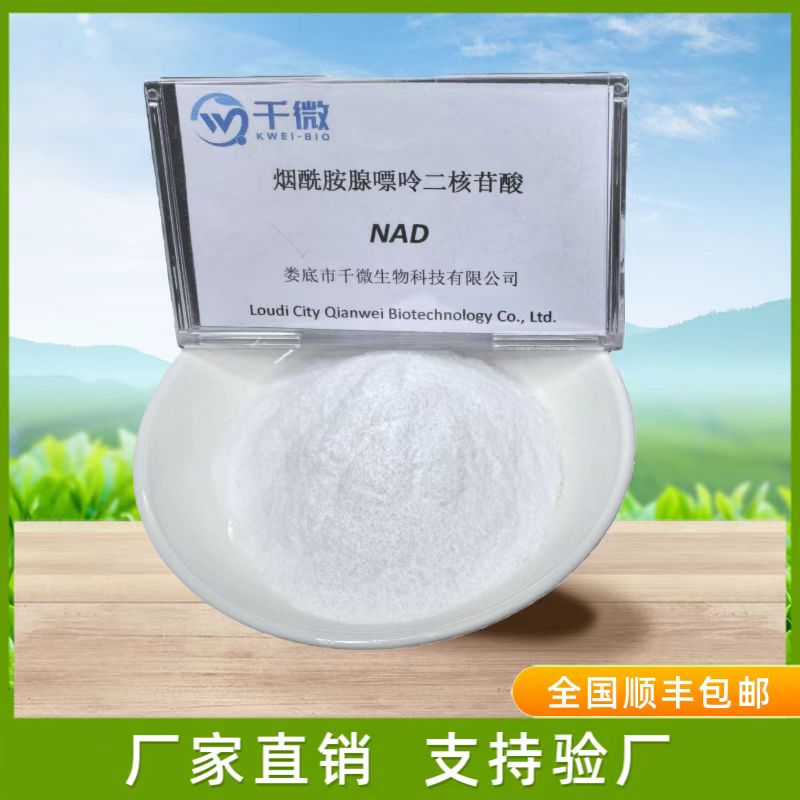 烟酰胺腺嘌呤二核苷酸(NAD+) 53-84-9