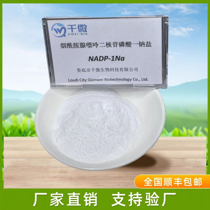 烟酰胺腺嘌呤二核苷酸磷酸盐（NADP+）