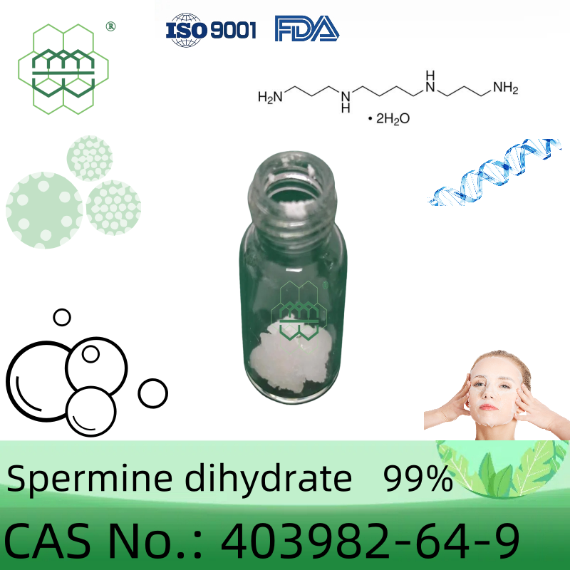 精胺二水合物 Spermine dihydrate 403982-64-9 高纯度 99%