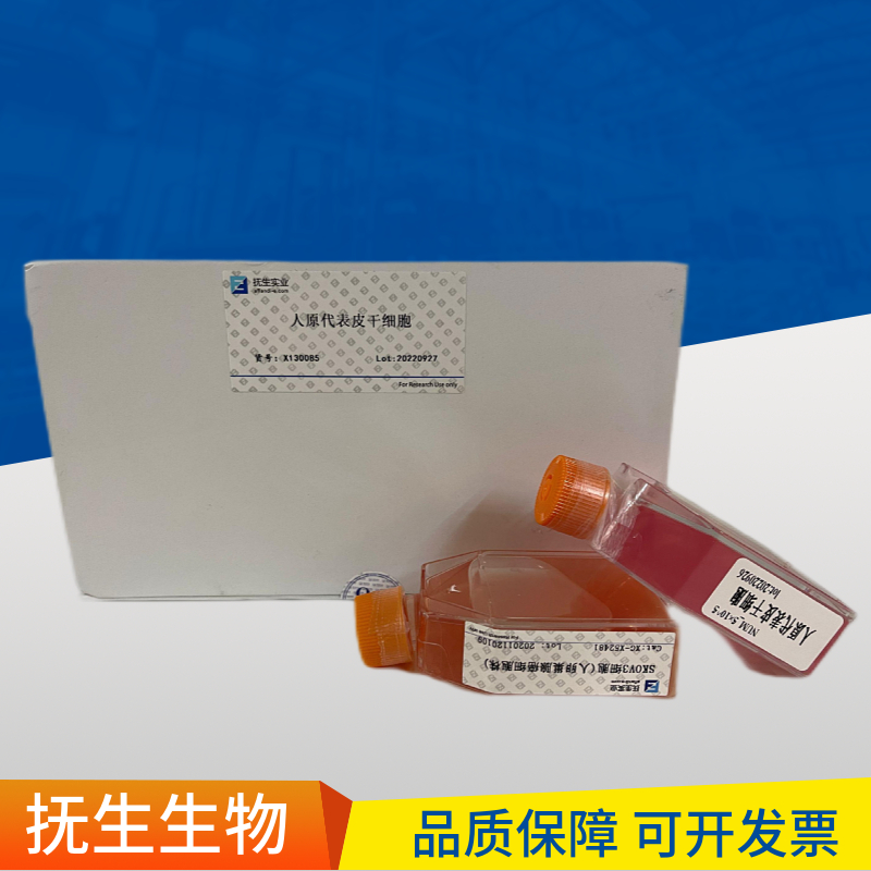 MC3T3-E1subclone 14小鼠颅顶前骨细胞亚克隆14