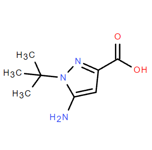 5-氨基-1-(叔丁基)-1H-吡唑-3-羧酸