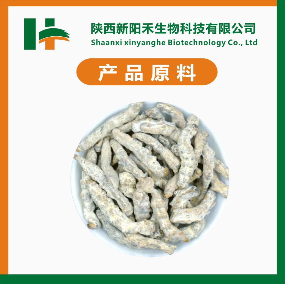 僵蚕提取物 白僵蚕提取物 僵蚕粉