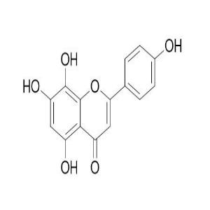 8-羟基芹菜素，8-Hydroxyapigenin，41440-05-5